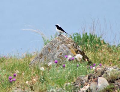 Прикрепленное изображение: zb43.jpg